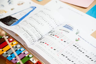 九游游戏-中小学体育教师继续教育体系建设与实施研究，小学体育继续教育考试试题及答案