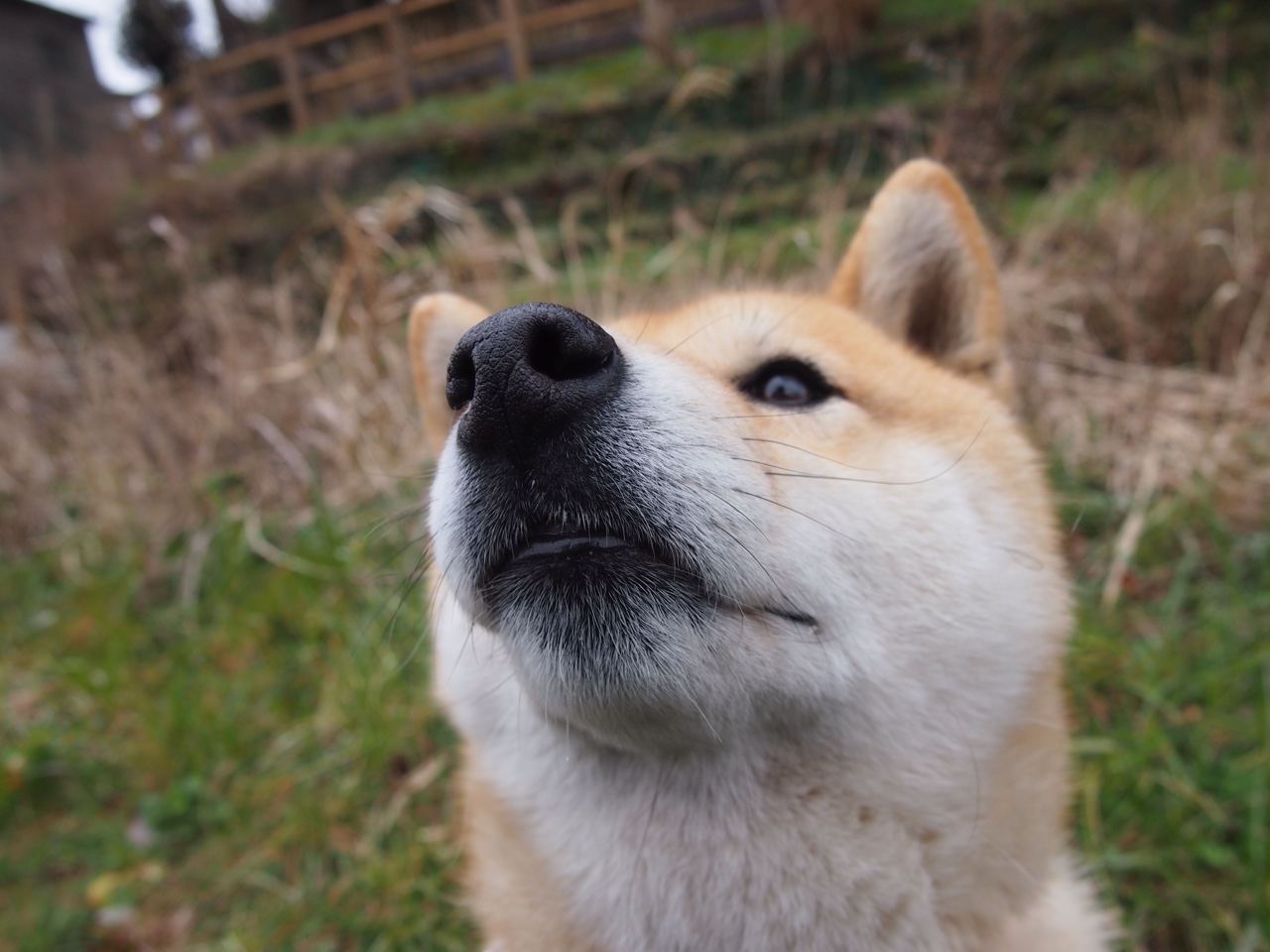 篮球运动赛事市场营销创新研究，篮球比赛市场分析