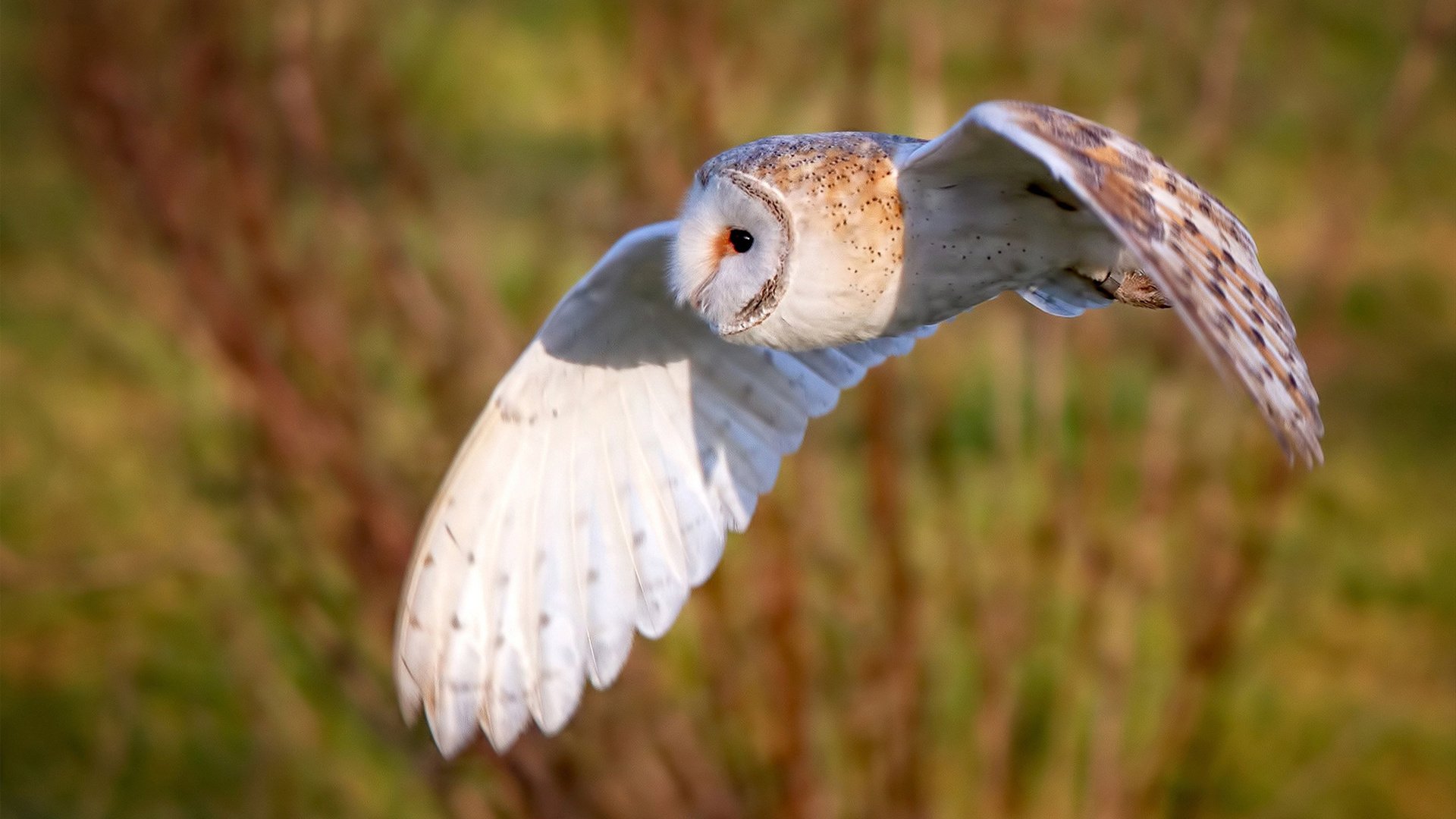 女排世界杯赛程公布 中国队强敌环伺，女排世界杯中国队赛程表