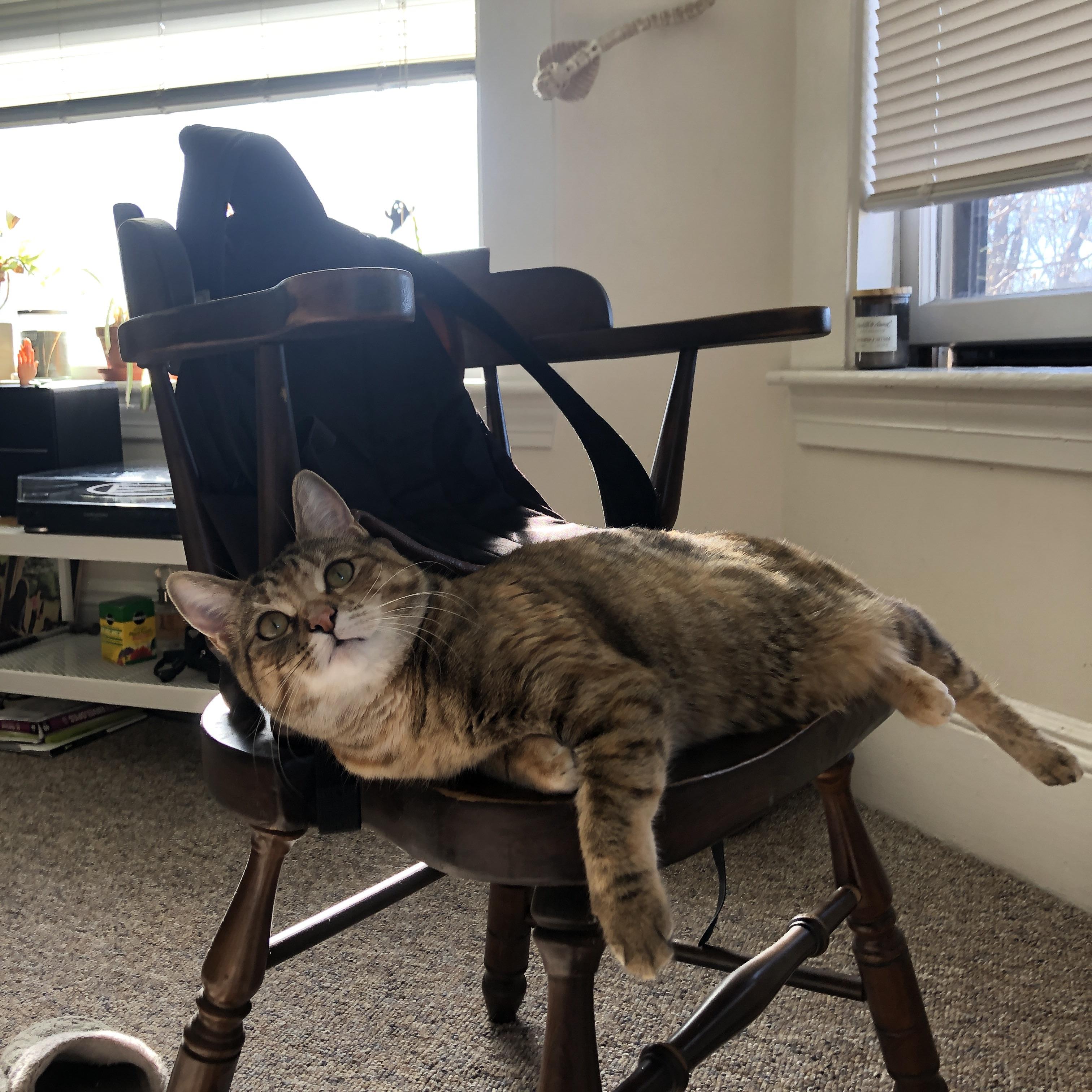 防守强度成制胜关键团队协作成基石，防守工作