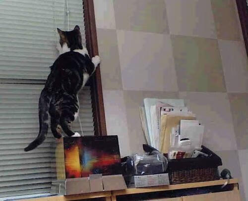 九游娱乐APP-世界杯惊艳绽放：激情无限，精彩不断！，世界杯精彩片段视频