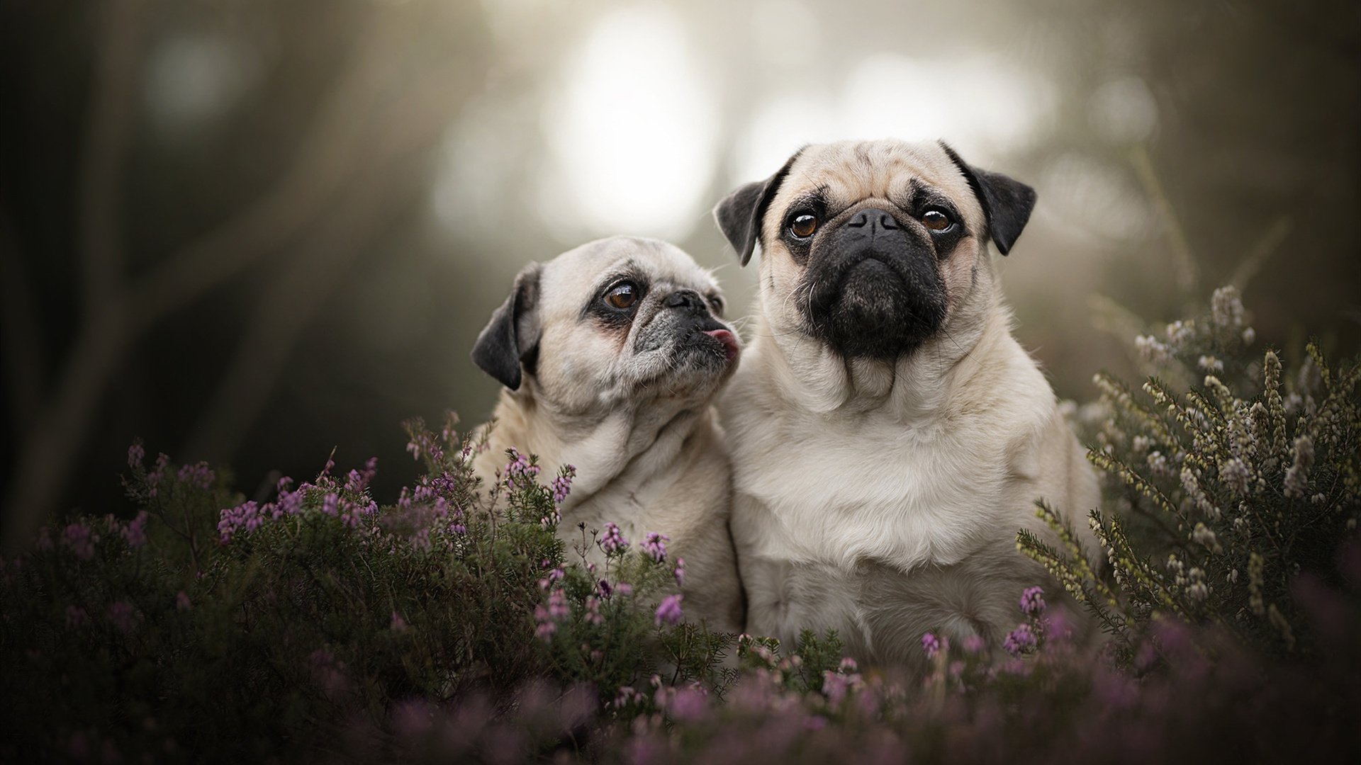 九游网-中国足球俱乐部为球员定制生活规律指导方案，我国足球俱乐部的基本模式