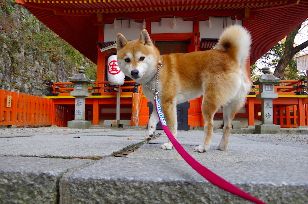 九游体育官网首页-中国足球联赛媒体合作策略持续深化，中国足协媒体通气会