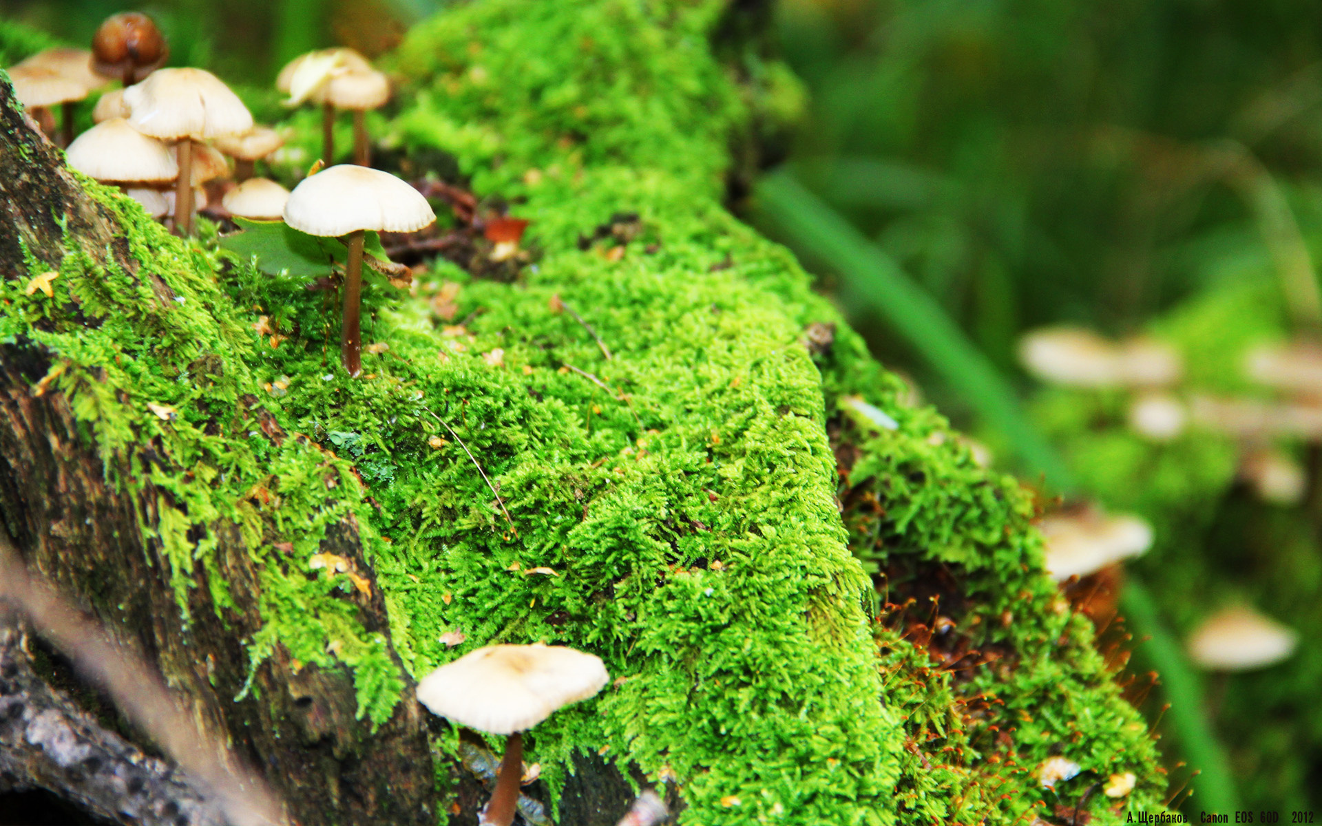 哈登表示快船需要保持攻守两端冷静,哈登对快船神进球